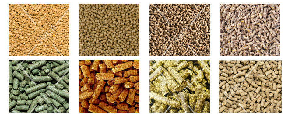 13-18ton per hour animal feed pellet line