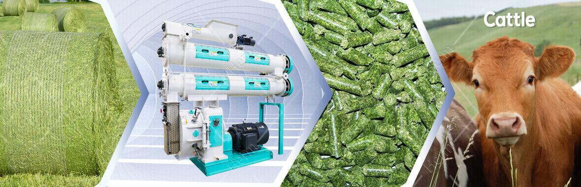 Feed Main How to Choose the Main Machines for Building a Medium-sized Feed ...