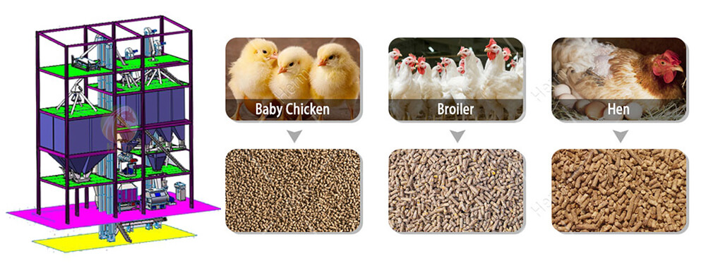 chicken feed production line for sale