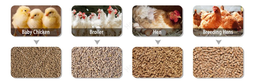 chicken feed production line supplier