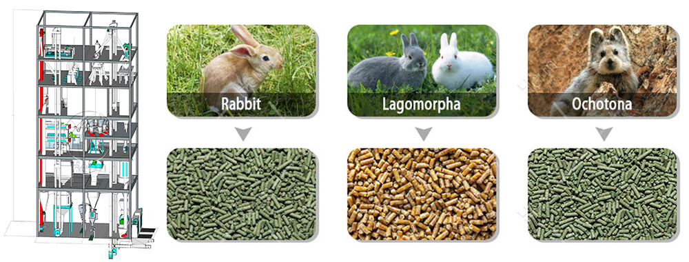 rabbit feed mill plant cost