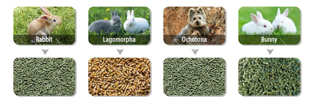 rabbit feed mill plant for sale