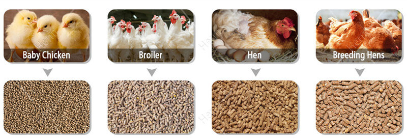 chicken_feed_making_machine