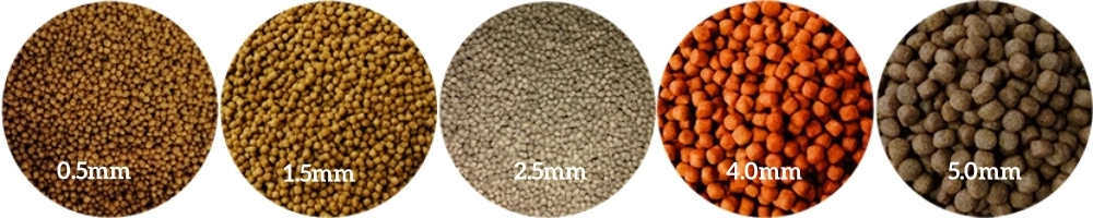 feed_extruder_machine 10
