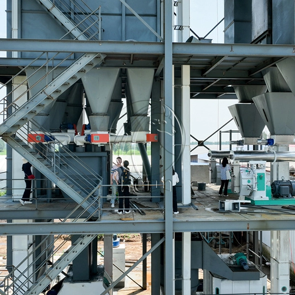 Algeria_Feed_Mill_Market 6