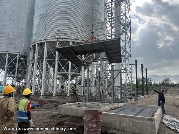 Current_Trends_and_Challenges_in_Feed_Production_in_Nigeria 4