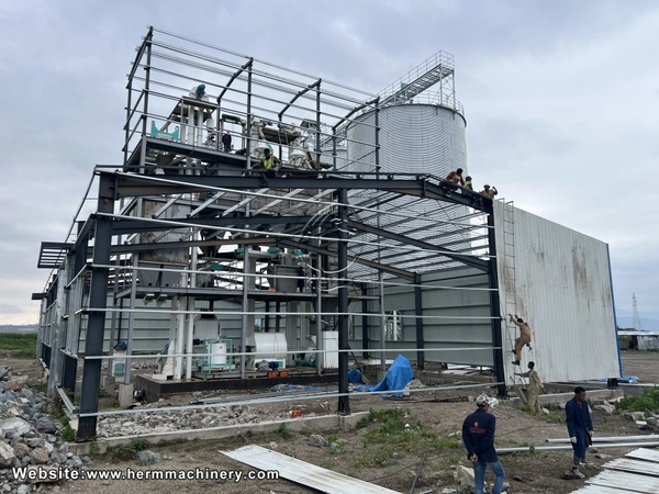 Current_Trends_and_Challenges_in_Feed_Production_in_Nigeria