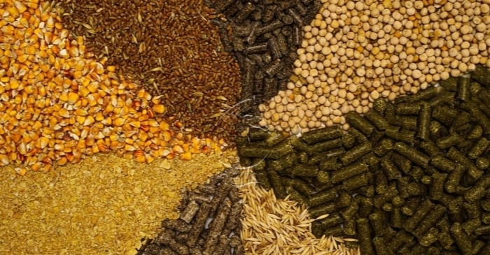 Common_raw_materials_used_in_compound_feed_production