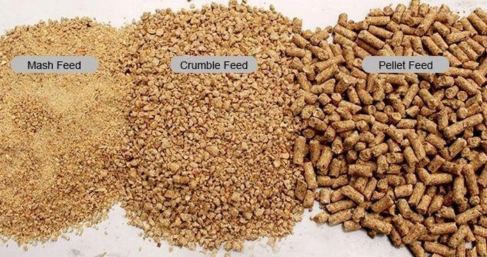 Different_types_of_animal_feed_including_mash_feed_crumbles_and_pellets