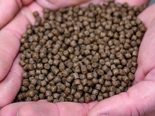 Handful_Of_Small_Aquatic_Feed_Pellets
