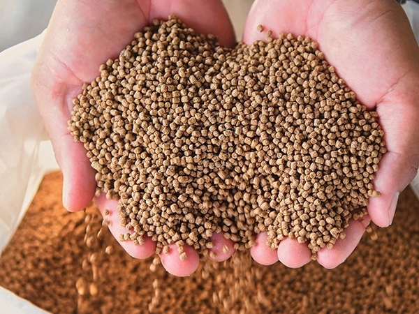 Small_Brown_Feed_Pellets_Held_In_Both_Hands
