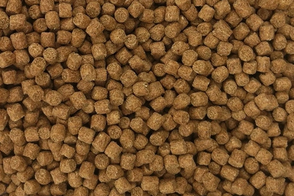 Close_Up_Of_Brown_Floating_Fish_Feed_Pellets