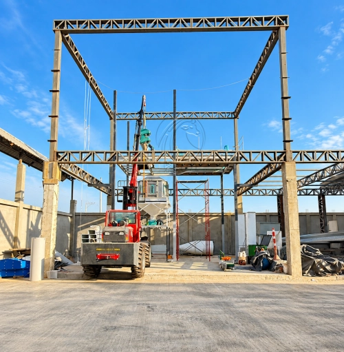 3–5 T/H pig feed production line in Ecuador